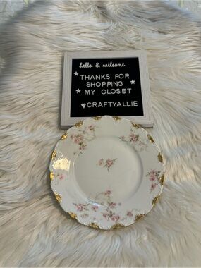 Antique Haviland Limoges France Pink Floral Plate